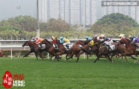 Sha Tin Dostihy