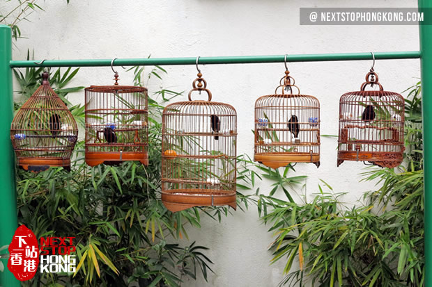 stores that sell bird cages