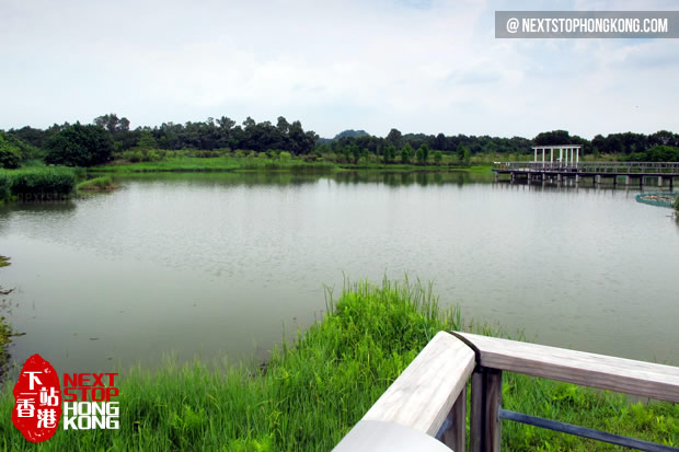 香港溼地公園(hong kong wetland park)