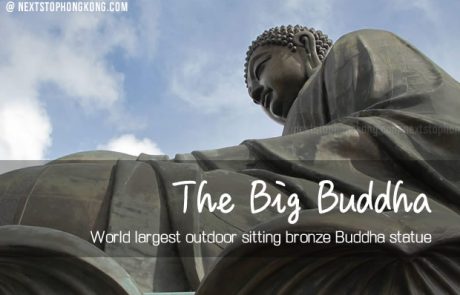 Guide of The Big Buddha on Ngong Ping Lantau Island