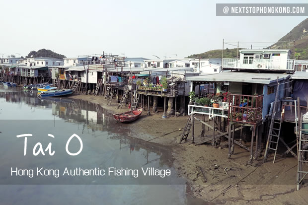 Tai O Fishing Village: Ultimate Guide - Highlights, Itinerary, How to Get  There, Tips