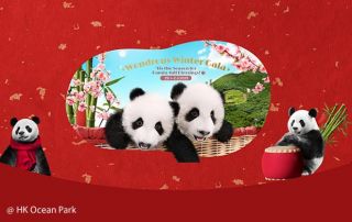 Lunar Fiesta 2025 – Ocean Park Chinese New Year Celebrations