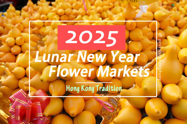 2025 Hong Kong Lunar New Year Flower Markets